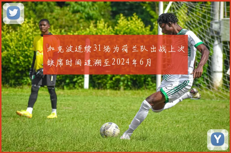 加克波连续31场为荷兰队出战上次缺席时间追溯至2024年6月