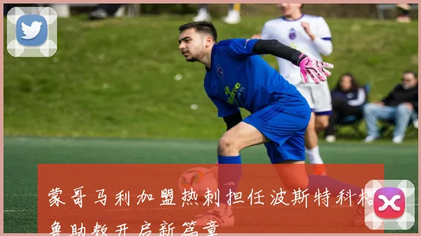 蒙哥马利加盟热刺担任波斯特科格鲁助教开启新篇章
