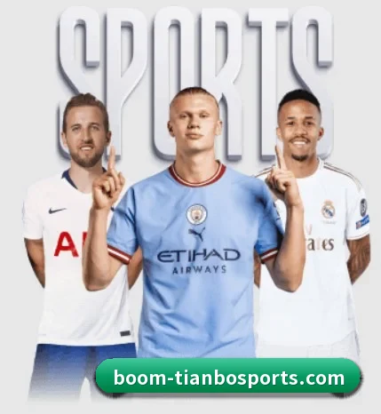 本站五个常用功能入口,赛程查询路径更短 | TIANBOSPORTS